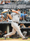 Chicago White Sox George Castle