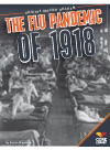 Flu Pandemic Of 1918 Kristin Marciniak