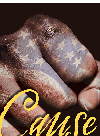 Cause Reconstruction America 18631877 Tonya Bolden