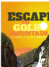 Escape To Gold Mountain A Graphic History Of The Chinese In North America David Ht Wong