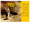 Land Of The Striped Stalker Wildlife Of Madhya Pradesh Rajesh Gopal