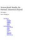 Western Brazil Brazilia The Pantanal Amazonia Beyond John Waggoner
