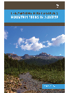 Mountain Treks In Alberta The Aspiring Hikers Guide Series Book 1 Gerry Shea