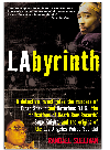 Labyrinth A Detective Investigates The Murders Of Tupac Shakur And Notorious Big The Randall Sullivan