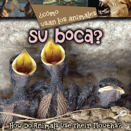 Cmo Usan Los Animales Su Boca Lynn M Stone