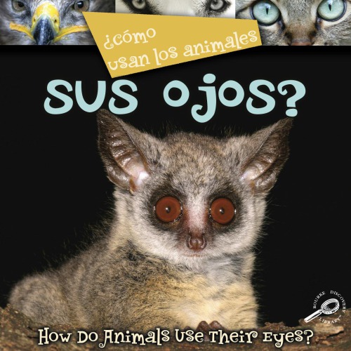 Cmo Usan Los Animales Sus Ojos Lynn M Stone