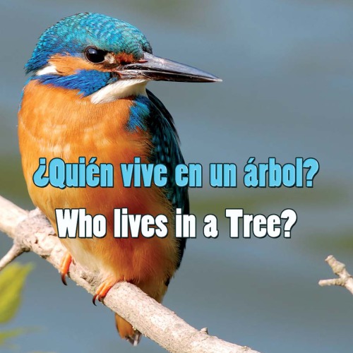Quin Vive En Un Rbol Who Lives In A Tree Cambridge