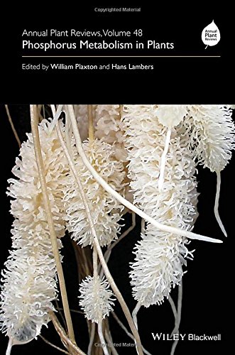 Phosphorus Metabolism In Plants William Plaxton Hans Lambers