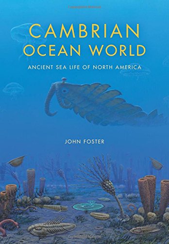Cambrian Ocean World Ancient Sea Life Of North America John Foster