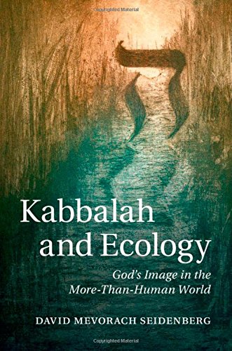 Kabbalah And Ecology Gods Image In The Morethanhuman World David Mevorach Seidenberg