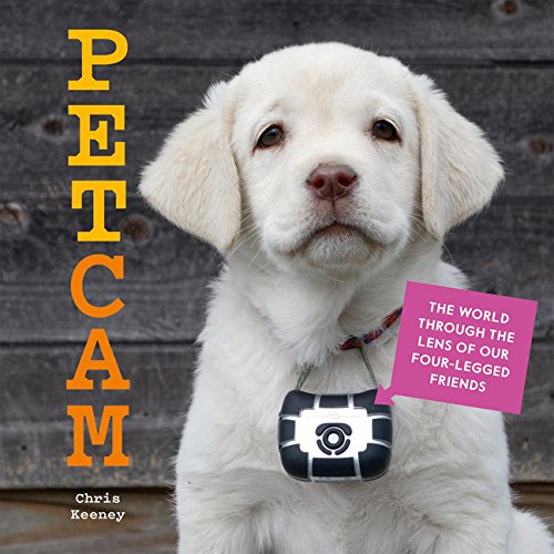Petcam The World Through The Lens Of Our Fourlegged Friends Chris Keeney