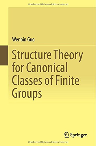 Structure Theory For Canonical Classes Of Finite Groups 1st Wenbin Guo