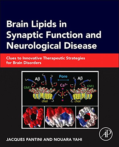 Brain Lipids In Synaptic Function And Neurological Disease Clues To Innovative Therapeutic Strategies For Brain Disorders 1st Edition Jacques Fantini