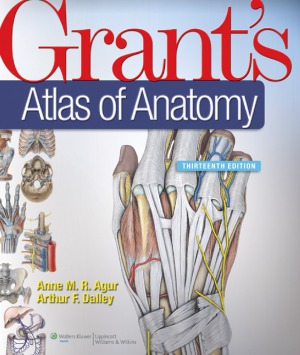 Grants Atlas Of Anatomy 13th Edition Anne M R Agur Arthur F Dalley