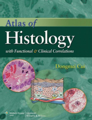 Atlas Of Histology With Functional And Clinical Correlations Cui D Et Al