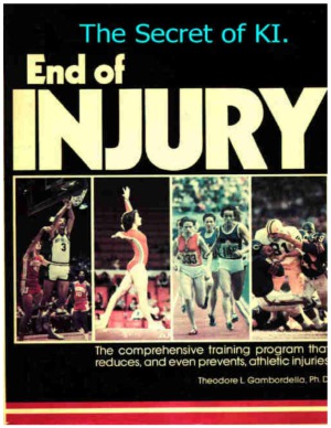 The Secret Of Ki End Of Injury Theodore L Gambordella
