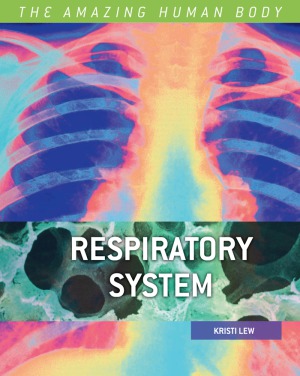Respiratory System The Amazing Human Body Kristi Lew