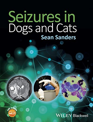 Seizures In Dogs And Cats 1st Edition Sean Sanders