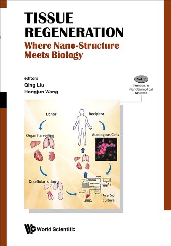 Tissue Regeneration Where Nano Structure Meets Biology 1st Edition Qing Liu