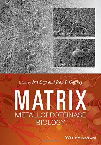 Matrix Metalloproteinase Biology 1st Edition Irit Sagi Jean Gaffney