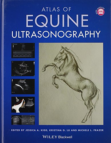 Atlas Of Equine Ultrasonography 1st Edition Jessica A Kidd Kristina G Lu