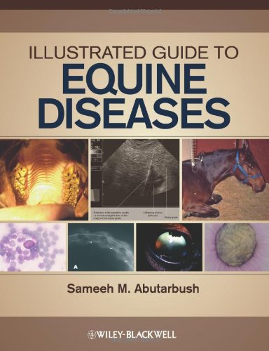 Illustrated Guide To Equine Diseases 1st Edition Sameeh M Abutarbush