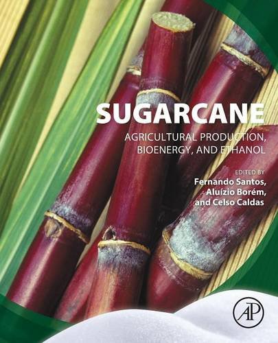 Sugarcane Agricultural Production Bioenergy And Ethanol Borm