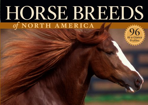 Horse Breeds Of North America Judith Dutson