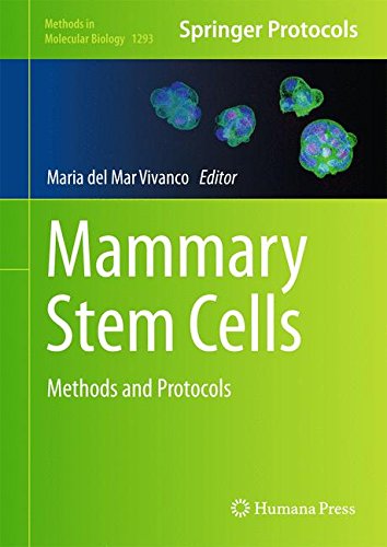 Mammary Stem Cells Methods And Protocols 1st Edition Maria Del Mar Vivanco