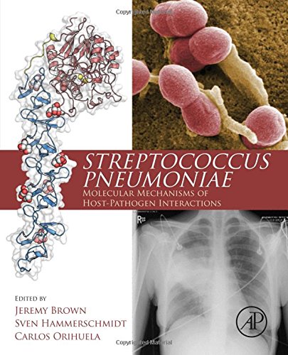 Streptococcus Pneumoniae Molecular Mechanisms Of Hostpathogen Interactions 1st Edition Jeremy Brown Ma Mb Bs Mrcp Md