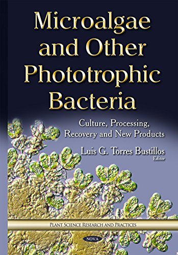 Microalgae And Other Phototrophic Bacteria Culture Processing Recovery And New Products Luis G Torres Bustillos