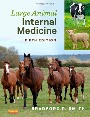 Large Animal Internal Medicine 5e 5th Edition Bradford P Smith Dvm