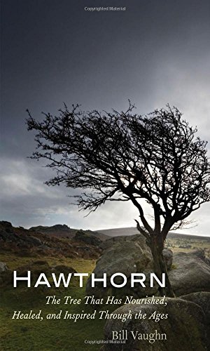 Hawthorn The Tree That Has Nourished Healed And Inspired Through The Ages Bill Vaughn