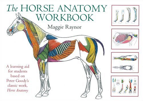 The Horse Anatomy Workbook A Learning Aid For Students Based On Peter Goodys Classic Work Horse Anatomy Maggie Raynor