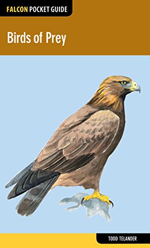 Birds Of Prey Falcon Pocket Guides 1st Edition Todd Telander