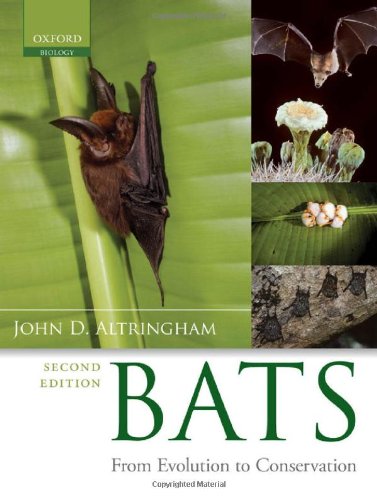 Bats From Evolution To Conservation 2nd Edition John D Altringham