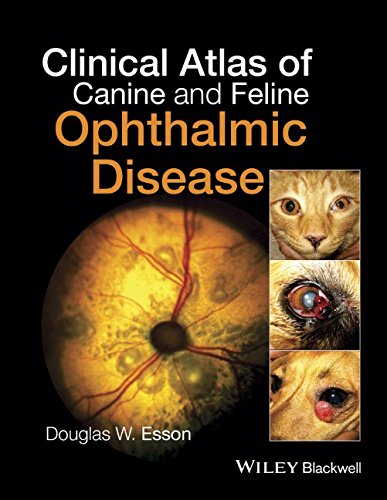 Clinical Atlas Of Canine And Feline Ophthalmic Disease 1st Edition Douglas W Esson