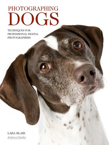 Photographing Dogs Techniques For Professional Digital Photographers Lara Blair