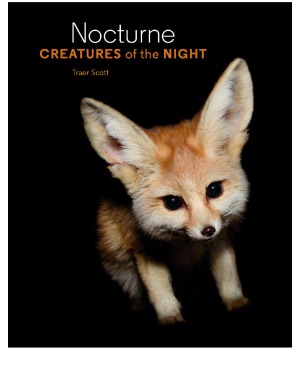 Nocturne Creatures Of The Night Traer Scott