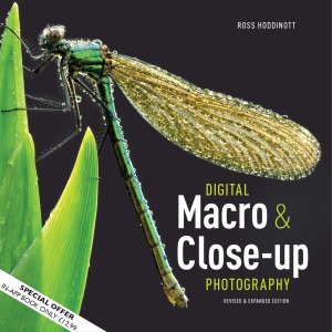 Digital Macro Closeup Photography Ross Hoddinott