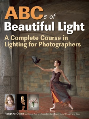 Abcs Of Beautiful Light A Complete Course In Lighting For Photographers Rosanne Olson