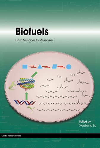 Biofuels From Microbes To Molecules Xuefeng Lu