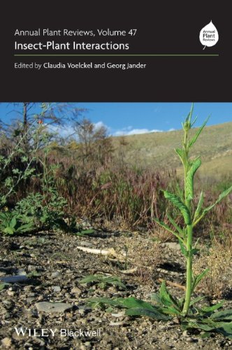 Annual Plant Reviews Insectplant Interactions Volume 47 Volume 47 Claudia Voelckel