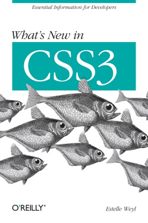 Whats New In Css3 Estelle Weyl