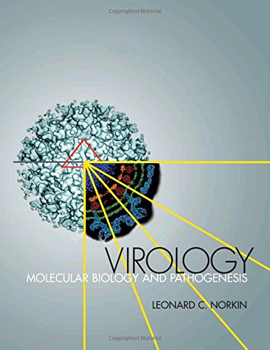 Virology Molecular Biology And Pathogenesis 1st Edition Leonard Norkin