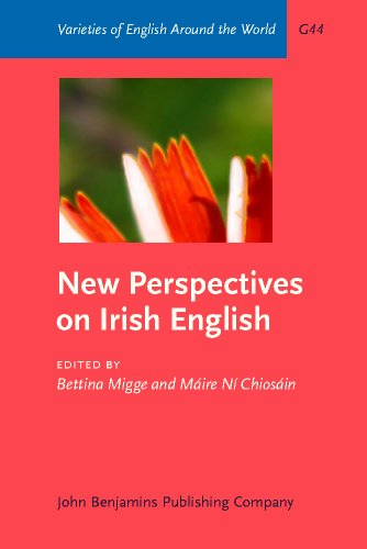 New Perspectives On Irish English Bettina Migge Mire N Chiosin