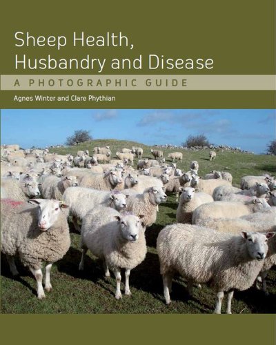 Sheep Health Husbandry And Disease A Photographic Guide Agnes Winter