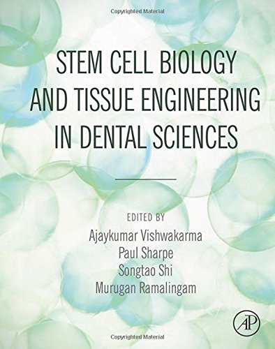 Stem Cell Biology And Tissue Engineering In Dental Sciences 1st Edition Ajaykumar Vishwakarma