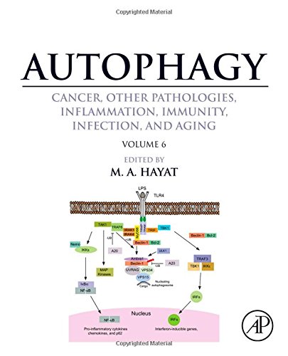 Autophagy Cancer Other Pathologies Inflammation Immunity Infection And Aging Volume 6 Regulation Of Autophagy And Selective Autophagy 1st Edition M A Hayat