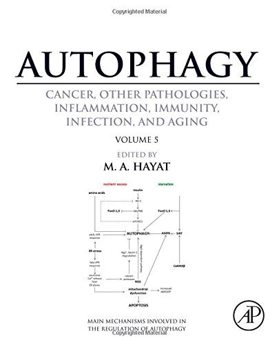 Autophagy Cancer Other Pathologies Inflammation Immunity Infection And Aging Volume 5 Role In Human Diseases 1st Edition M A Hayat
